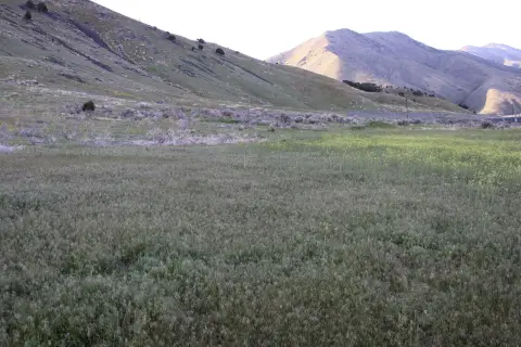 Pocatello Commercial Land on South 5th