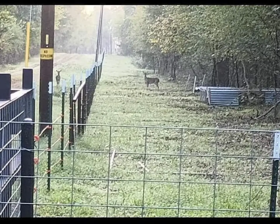 Picture 10