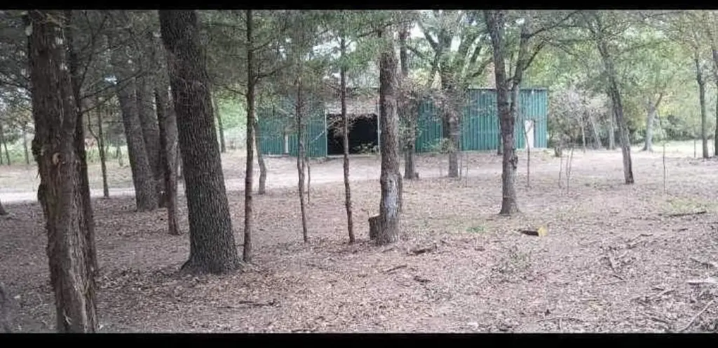 Picture 8