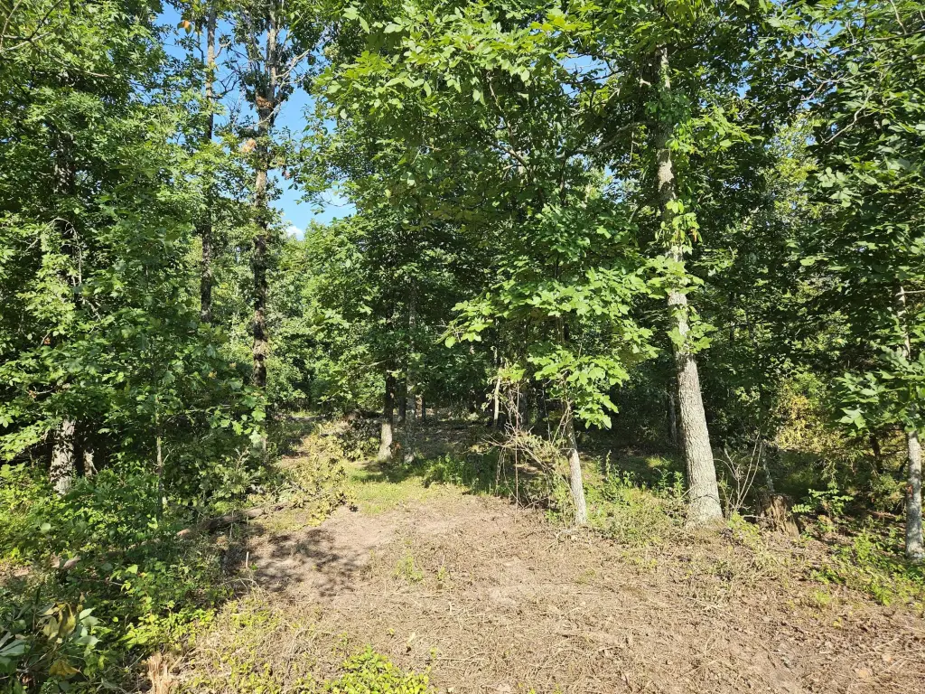 Picture 20