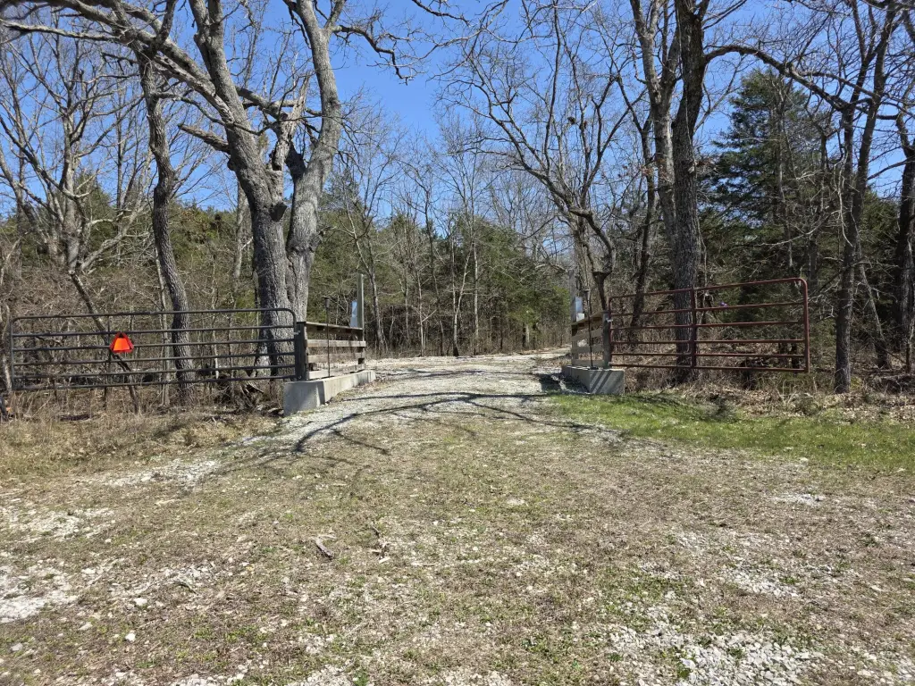 Picture 23