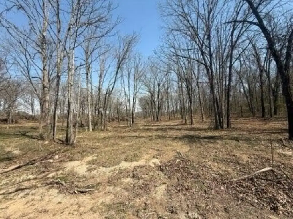 Picture 7