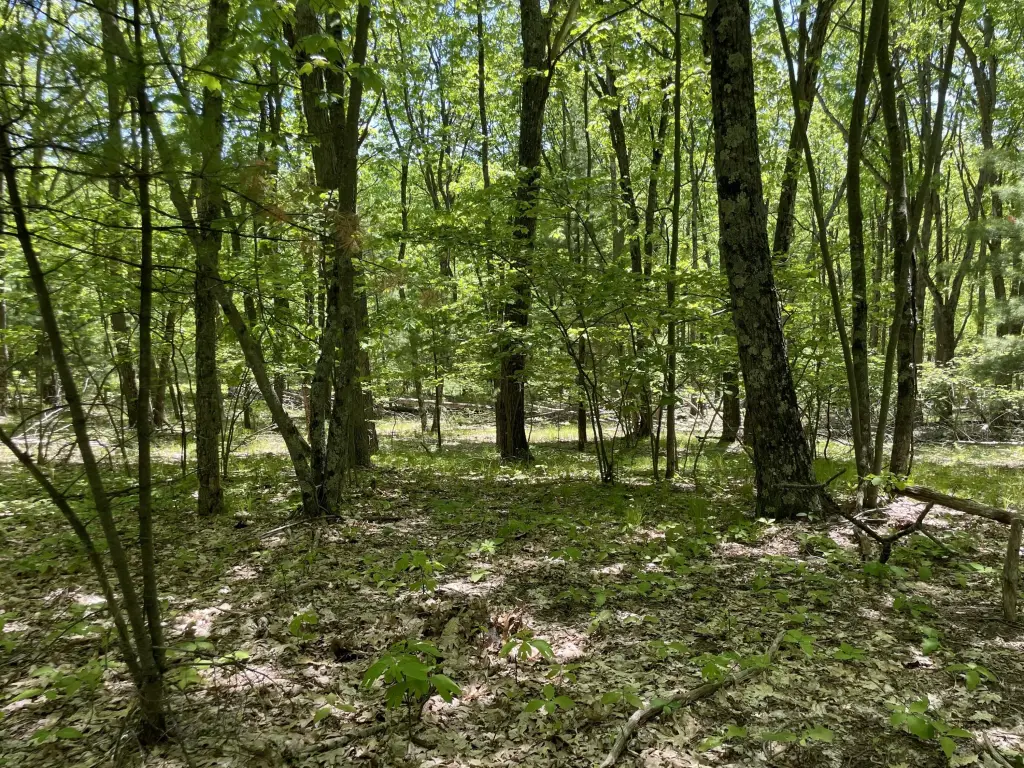 Picture 22