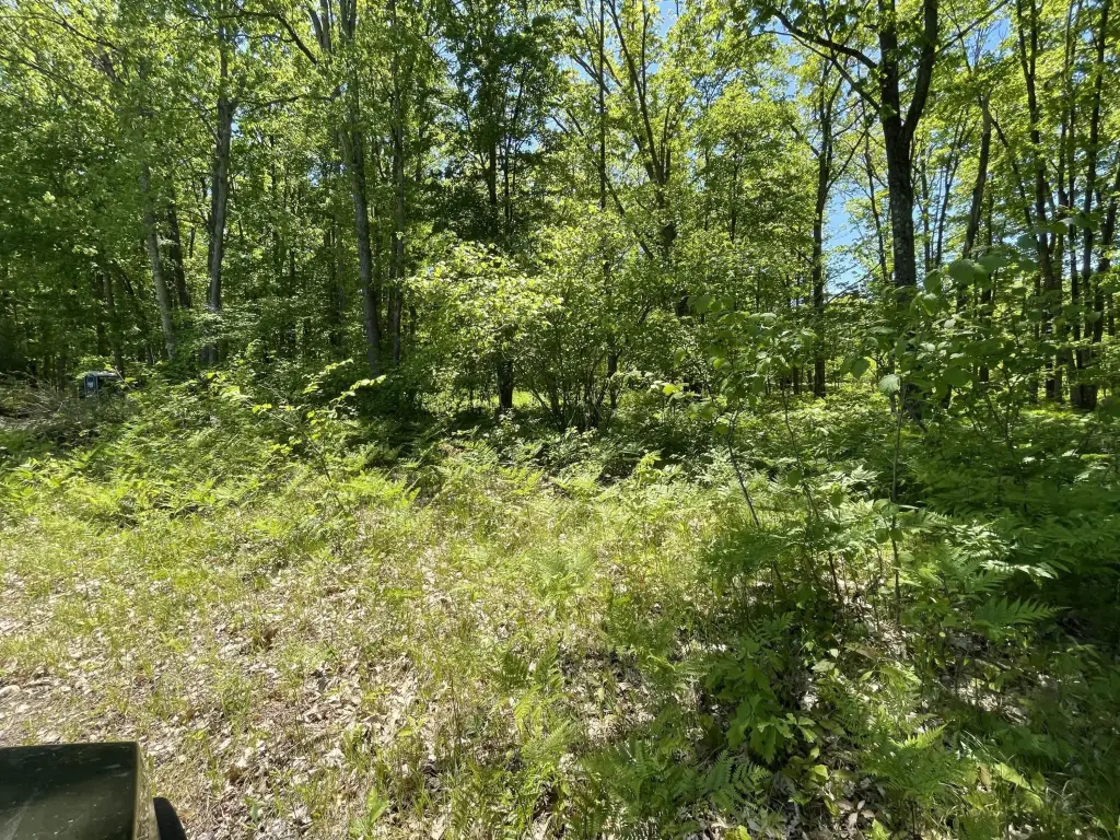 Picture 19