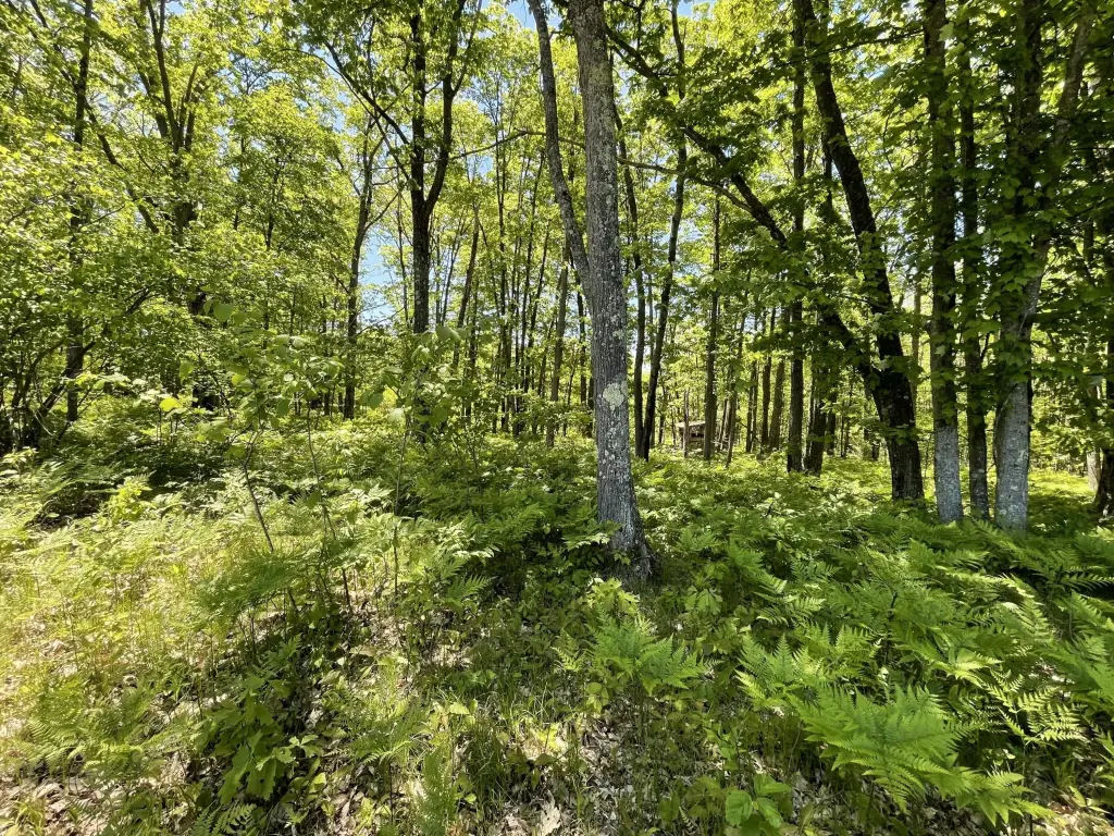 Picture 26