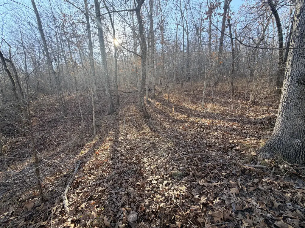 Picture 4