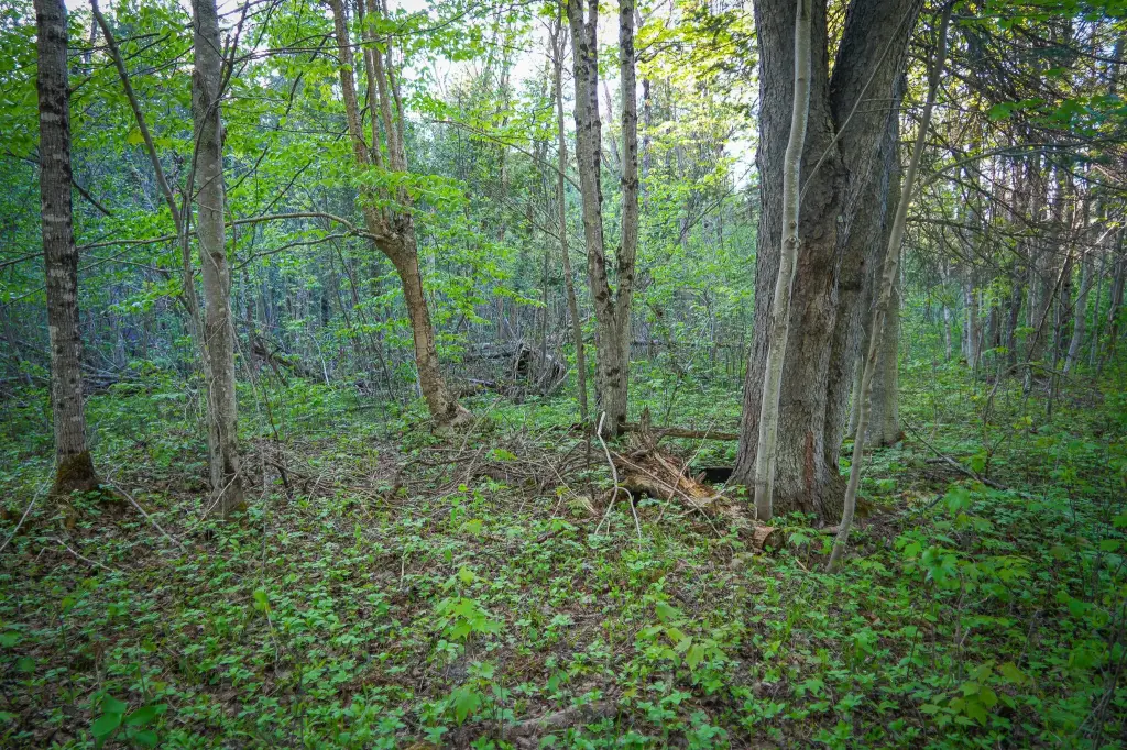 Picture 39