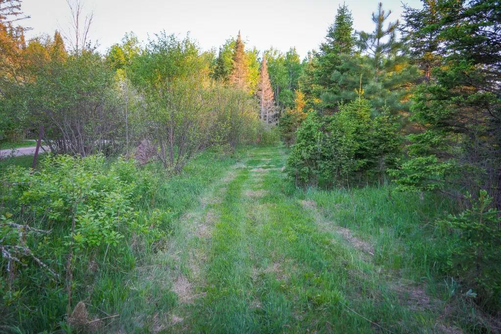 Picture 65