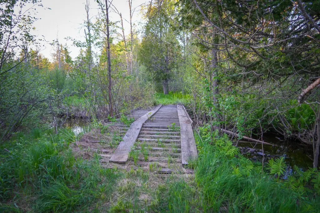Picture 51