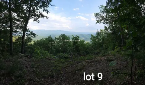 Elliston, VA Wooded Land