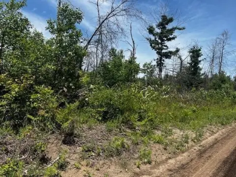 Wooded Recreational Land Parcel