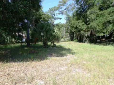 Residential Land Near Rainbow River