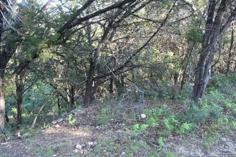 Canyon Lake Hill Country Lot