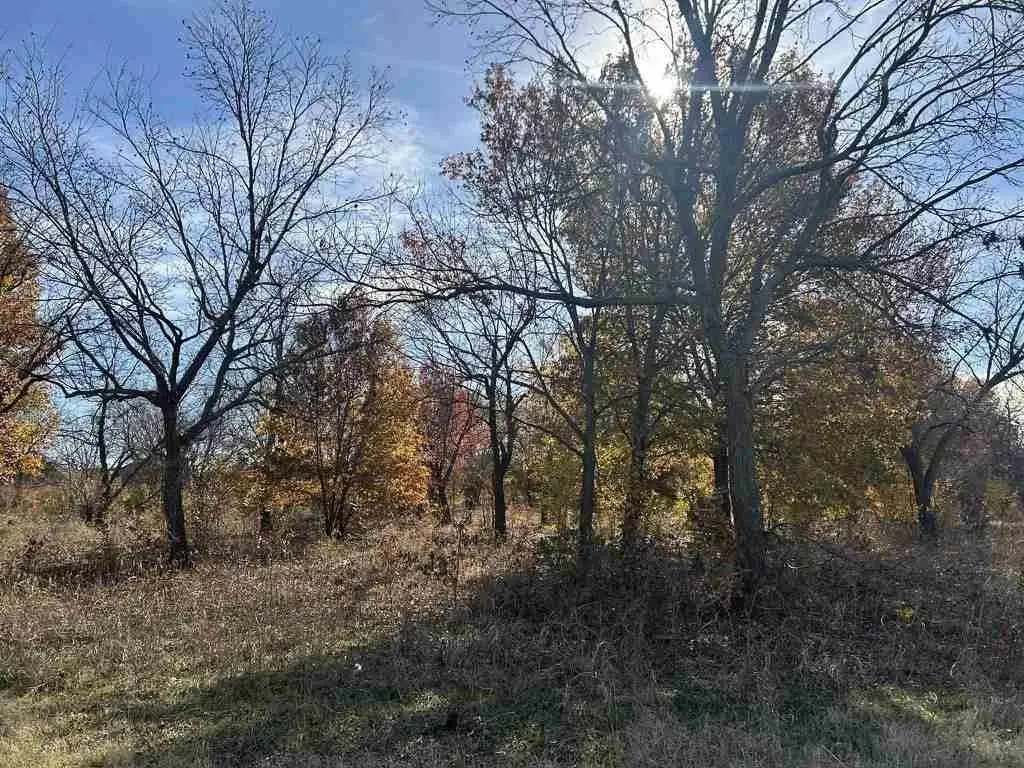 Picture 5