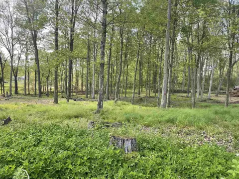 Residential Land in Reedsville, WV
