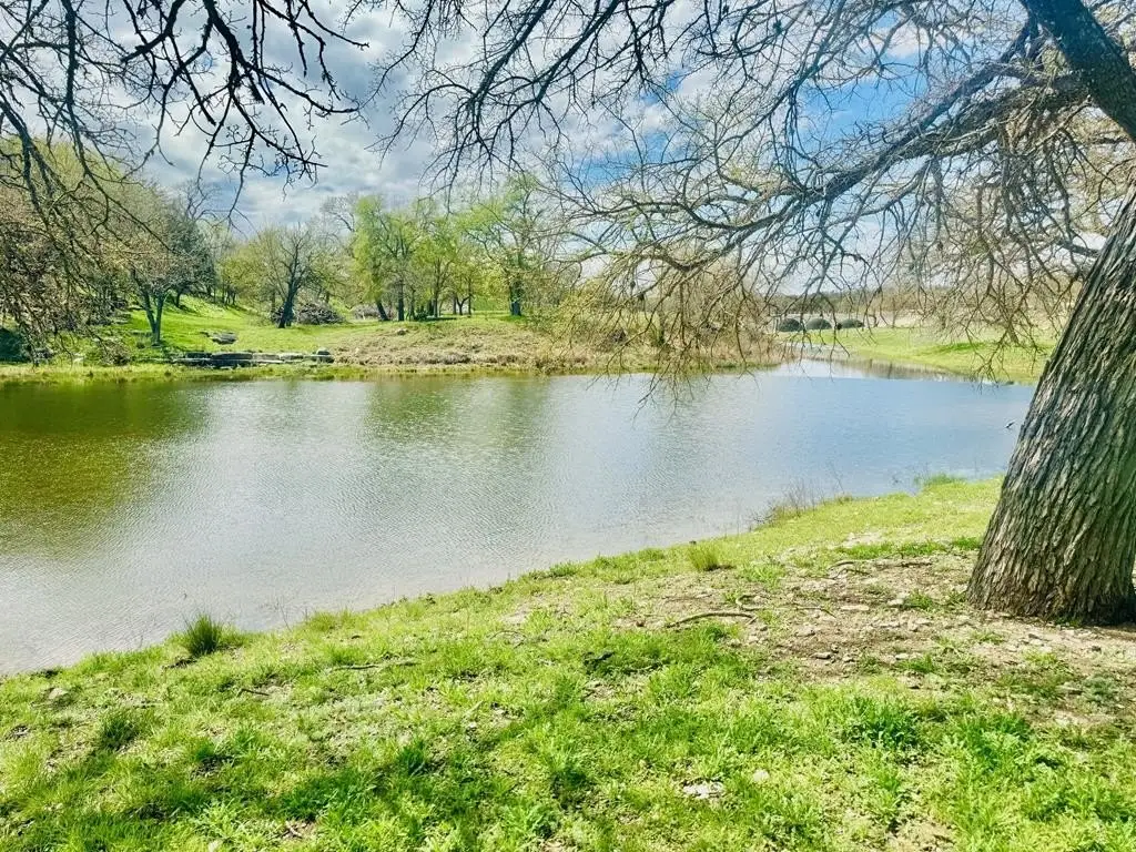 Picture 16