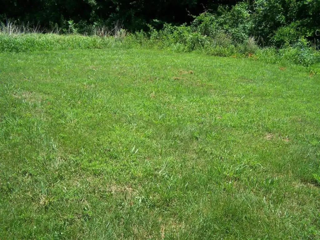 Picture 28