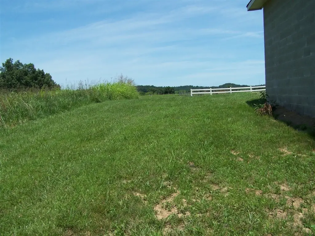 Picture 30