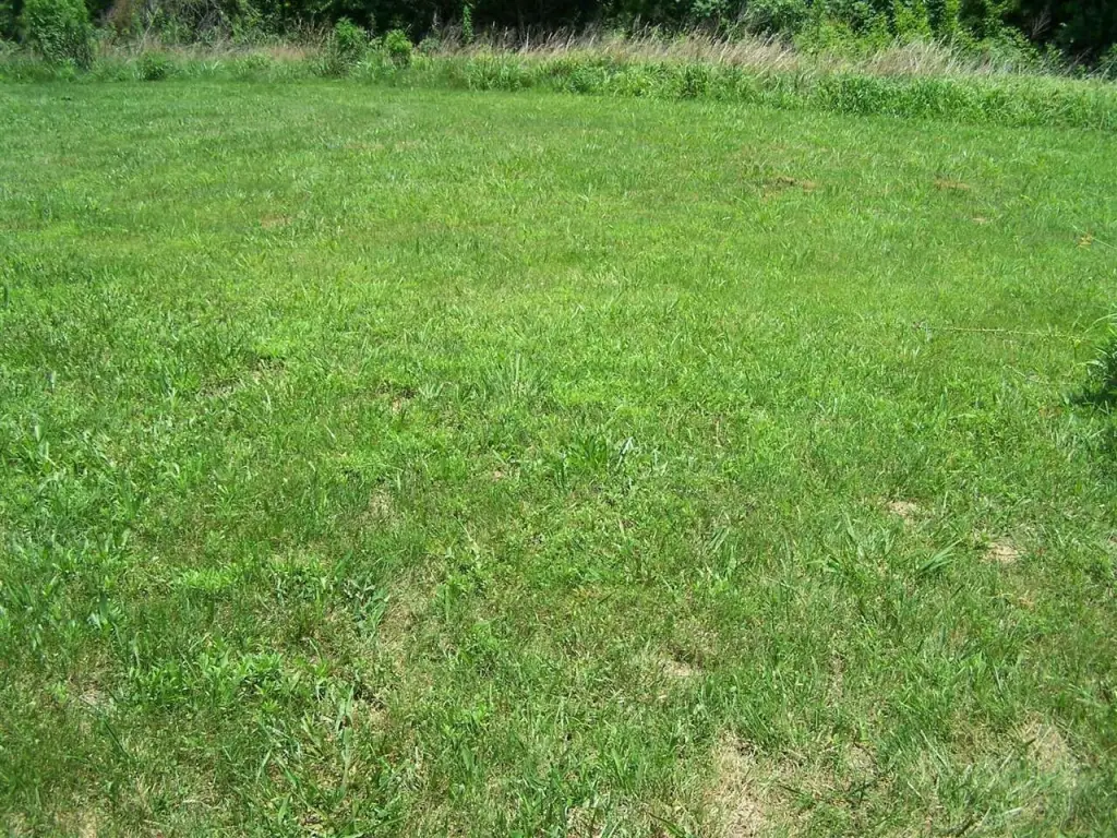 Picture 31