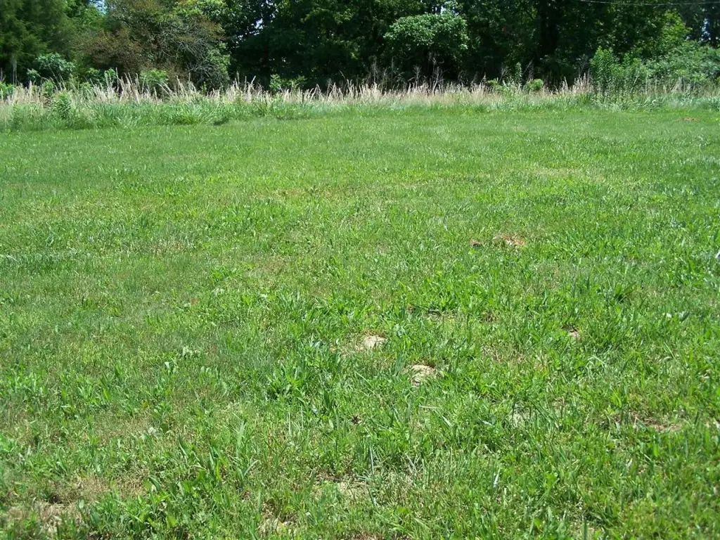 Picture 27