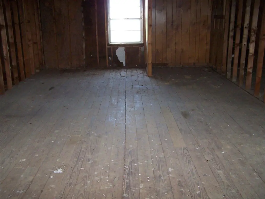 Picture 15