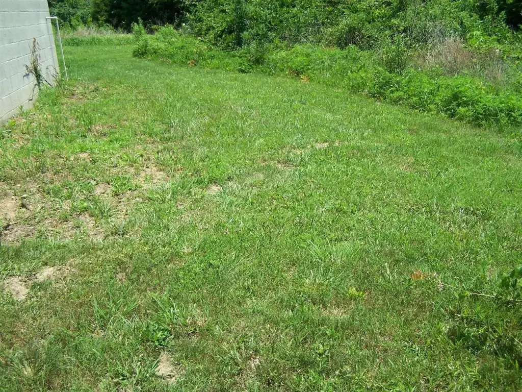 Picture 32