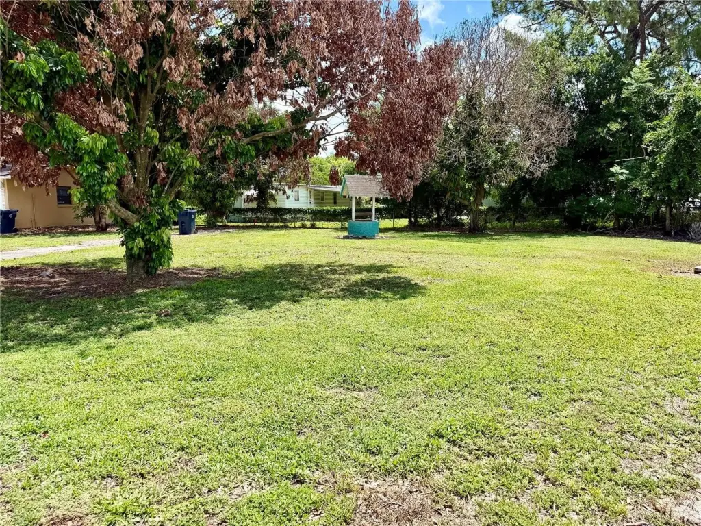 Picture 28