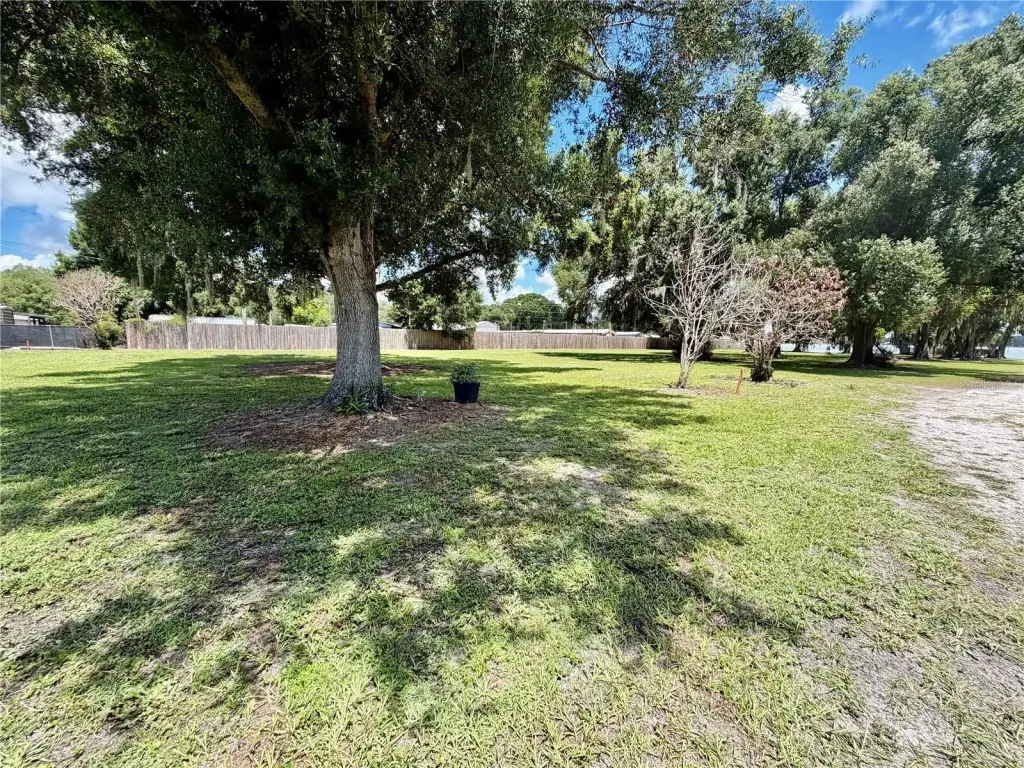 Picture 42
