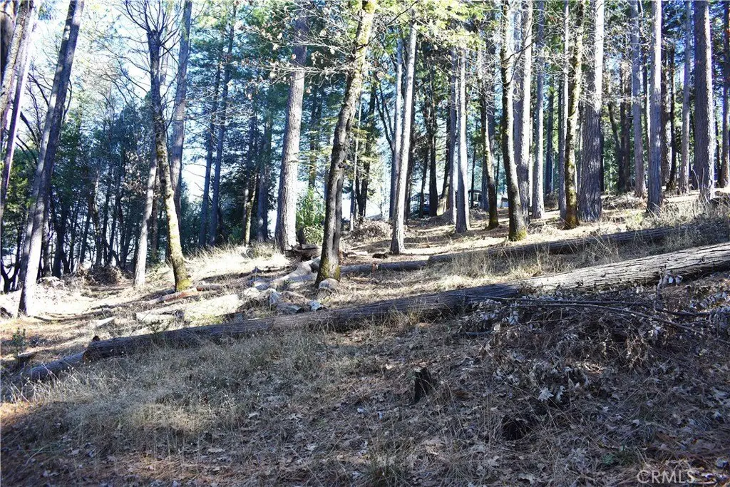 Picture 18