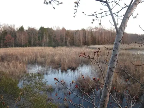 Land with Pond and Creeks