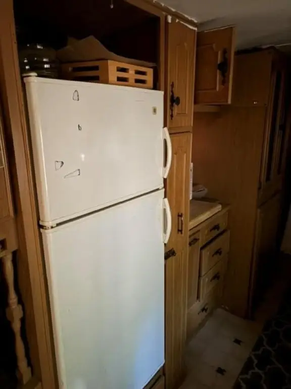 Picture 5