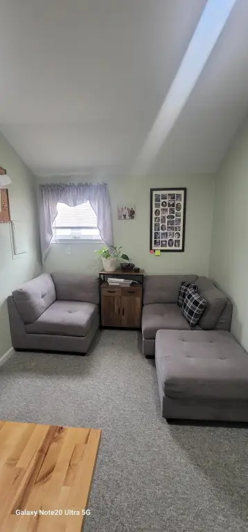 Picture 19