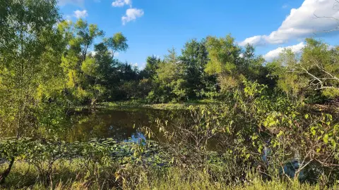 Land Near Ouachita National Forest