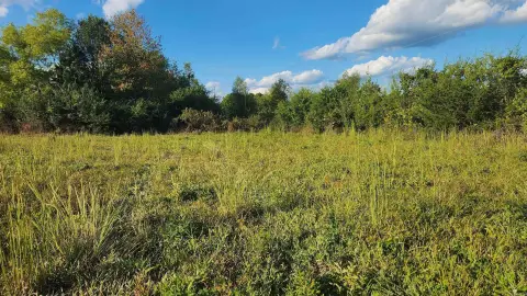 Land Near Ouachita National Forest