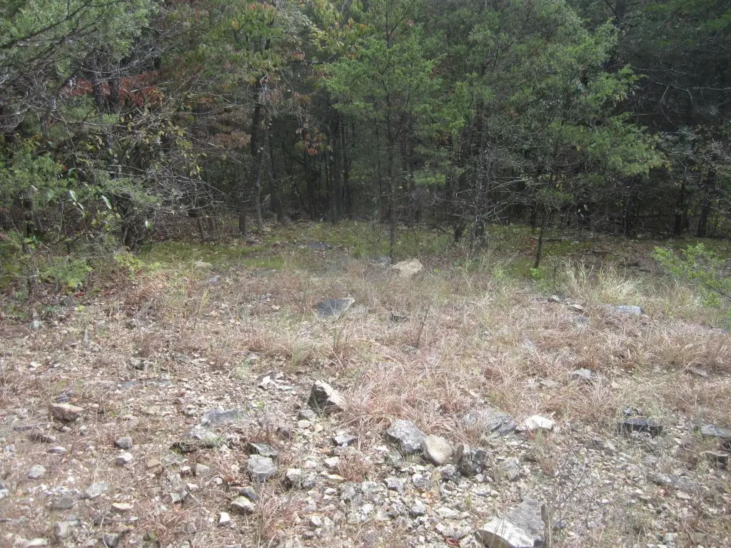 Picture 20