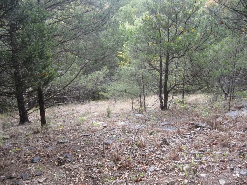 Picture 21