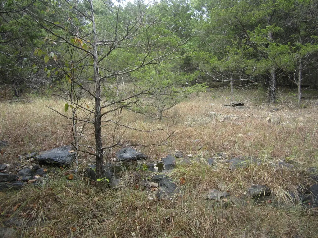 Picture 19