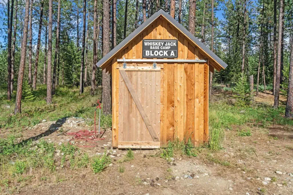 Picture 6
