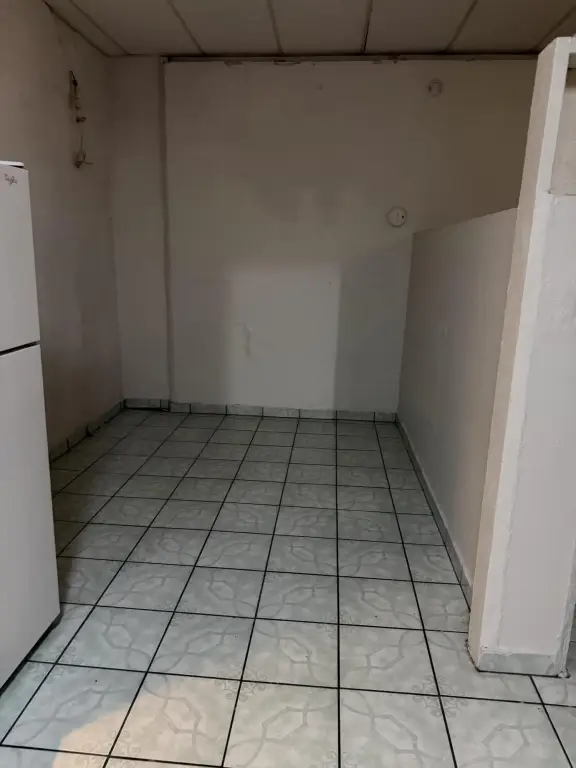 Picture 24
