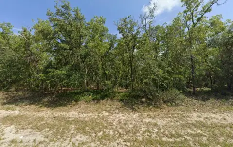 Land in Marion Oaks Area