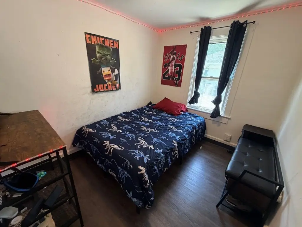 Picture 12