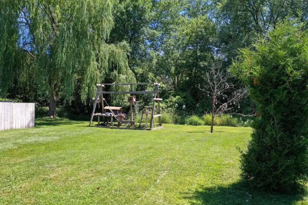 Picture 28