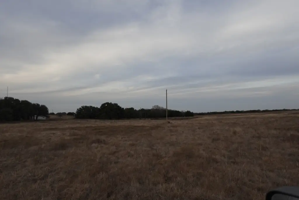 Picture 11