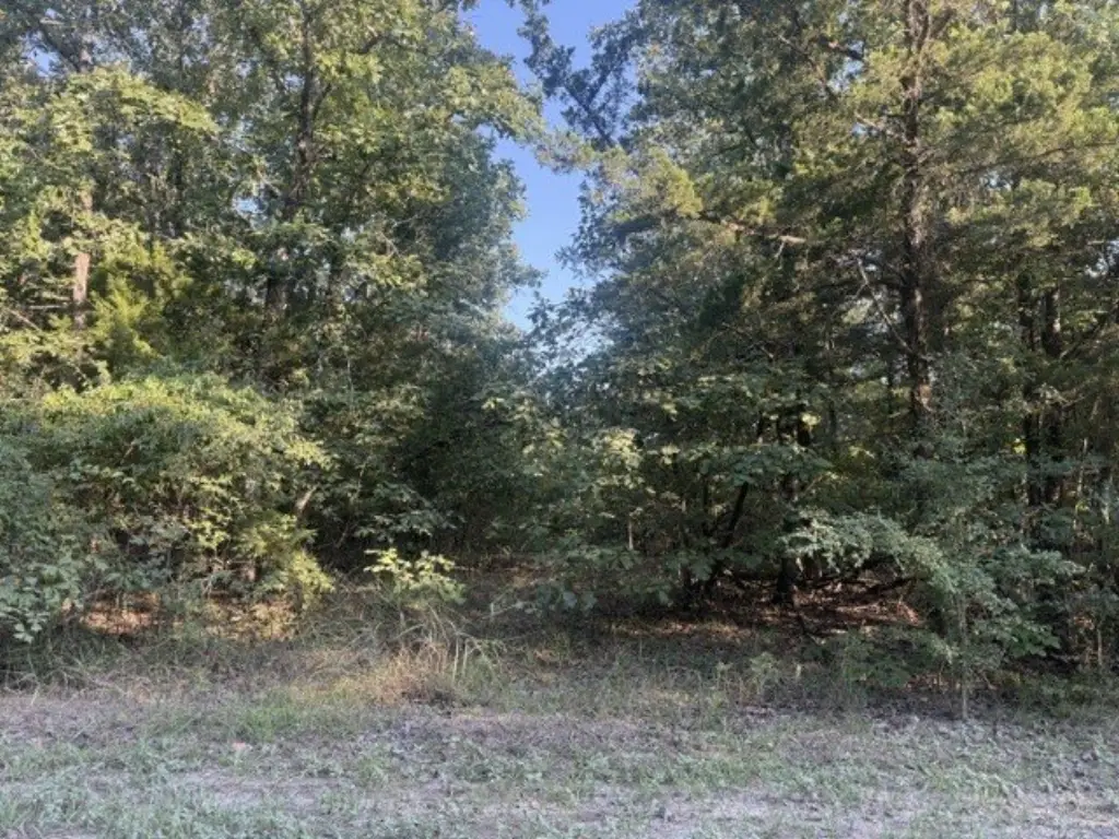 Picture 5