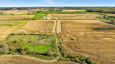 80-Acre Marshall Land Parcel