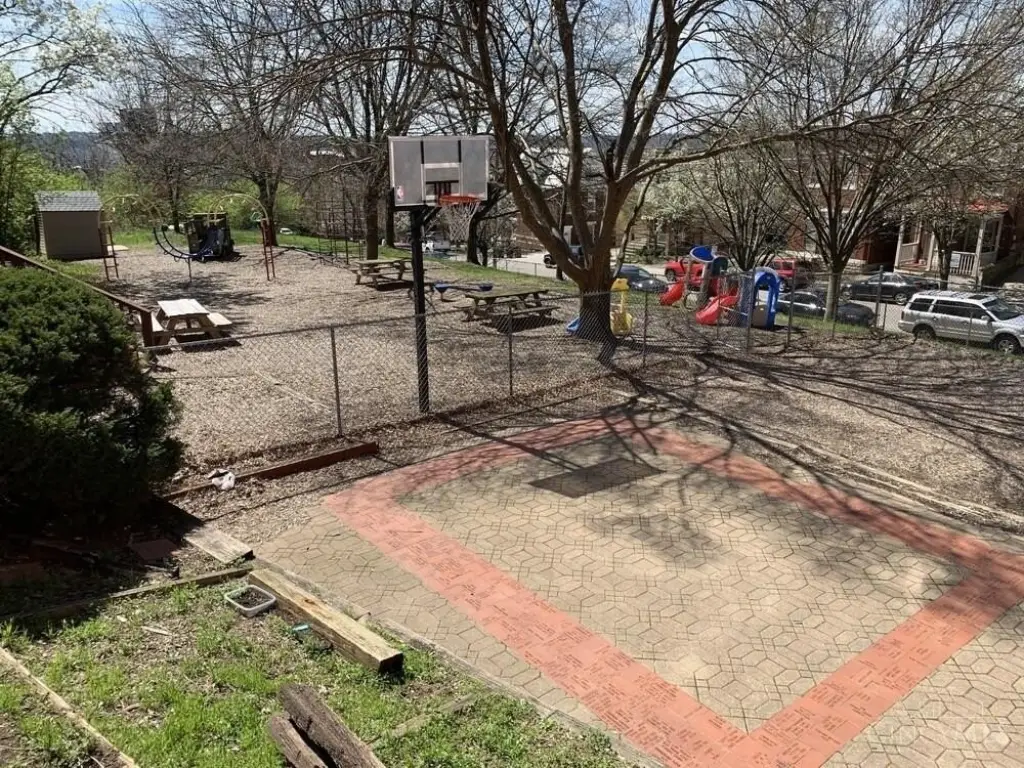 Picture 5