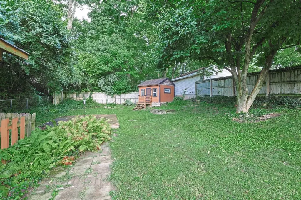 Picture 6