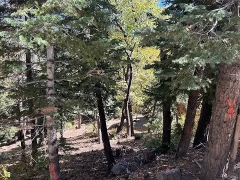 Big Bear Development Opportunity