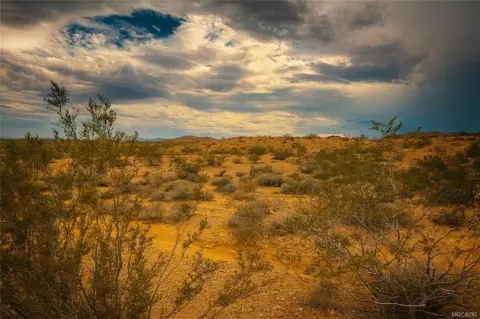 Pristine Land in Joshua Tree