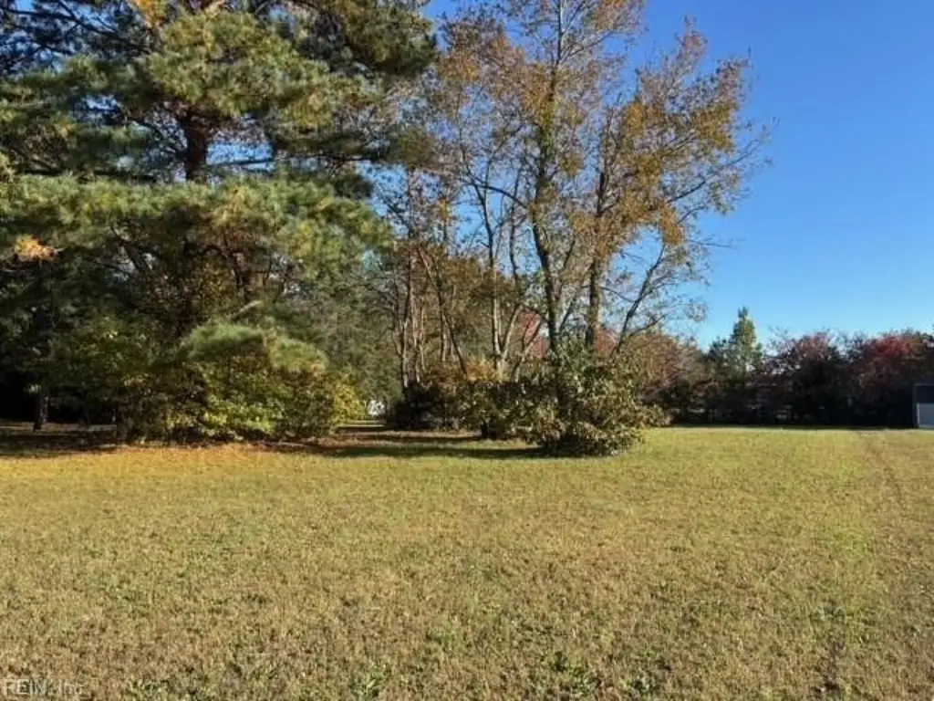 Picture 4